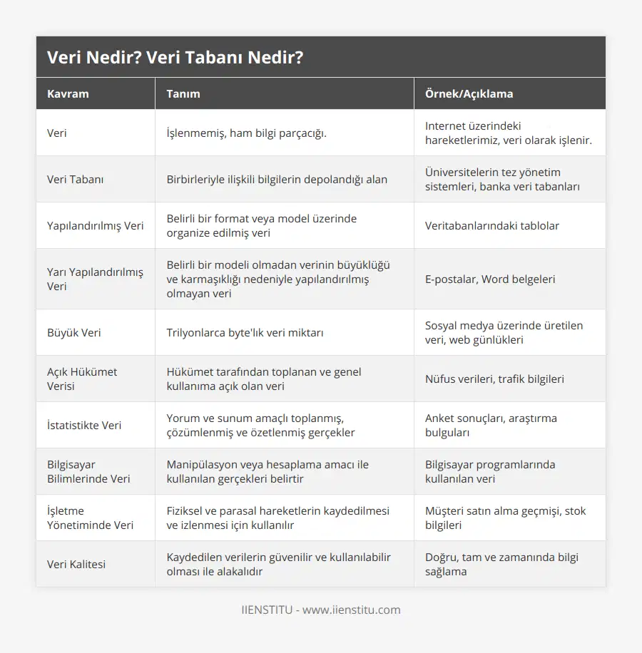 Veri, İşlenmemiş, ham bilgi parçacığı, Internet üzerindeki hareketlerimiz, veri olarak işlenir, Veri Tabanı, Birbirleriyle ilişkili bilgilerin depolandığı alan, Üniversitelerin tez yönetim sistemleri, banka veri tabanları, Yapılandırılmış Veri, Belirli bir format veya model üzerinde organize edilmiş veri, Veritabanlarındaki tablolar, Yarı Yapılandırılmış Veri, Belirli bir modeli olmadan verinin büyüklüğü ve karmaşıklığı nedeniyle yapılandırılmış olmayan veri, E-postalar, Word belgeleri, Büyük Veri, Trilyonlarca byte'lık veri miktarı, Sosyal medya üzerinde üretilen veri, web günlükleri, Açık Hükümet Verisi, Hükümet tarafından toplanan ve genel kullanıma açık olan veri, Nüfus verileri, trafik bilgileri, İstatistikte Veri, Yorum ve sunum amaçlı toplanmış, çözümlenmiş ve özetlenmiş gerçekler, Anket sonuçları, araştırma bulguları, Bilgisayar Bilimlerinde Veri, Manipülasyon veya hesaplama amacı ile kullanılan gerçekleri belirtir, Bilgisayar programlarında kullanılan veri, İşletme Yönetiminde Veri, Fiziksel ve parasal hareketlerin kaydedilmesi ve izlenmesi için kullanılır, Müşteri satın alma geçmişi, stok bilgileri, Veri Kalitesi, Kaydedilen verilerin güvenilir ve kullanılabilir olması ile alakalıdır, Doğru, tam ve zamanında bilgi sağlama