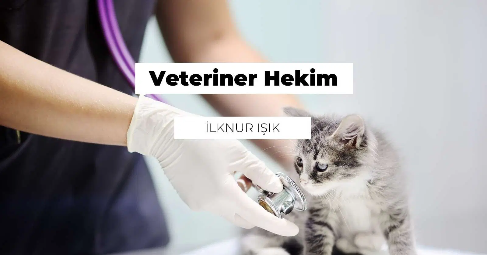 Veteriner Hekim Nedir? Ne İş Yapar?