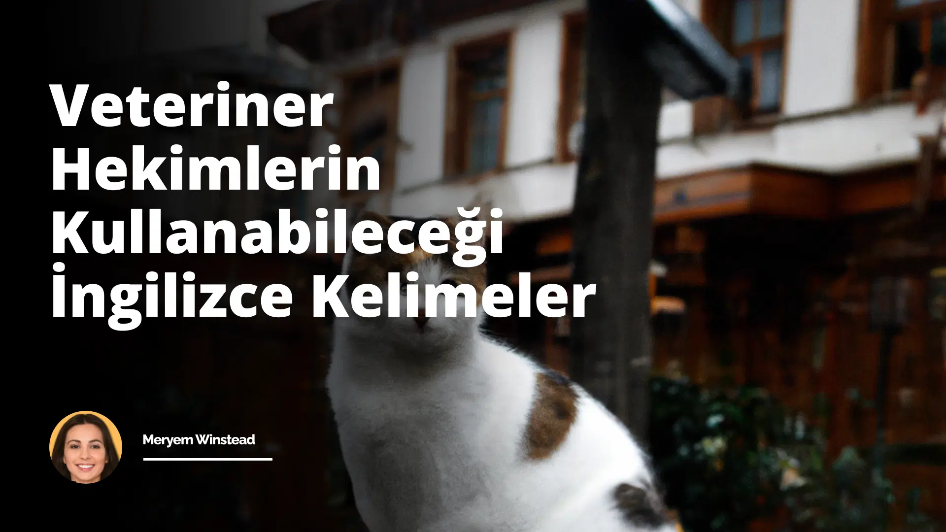 Veteriner Hekimlerin Kullanabileceği İngilizce Kelimeler