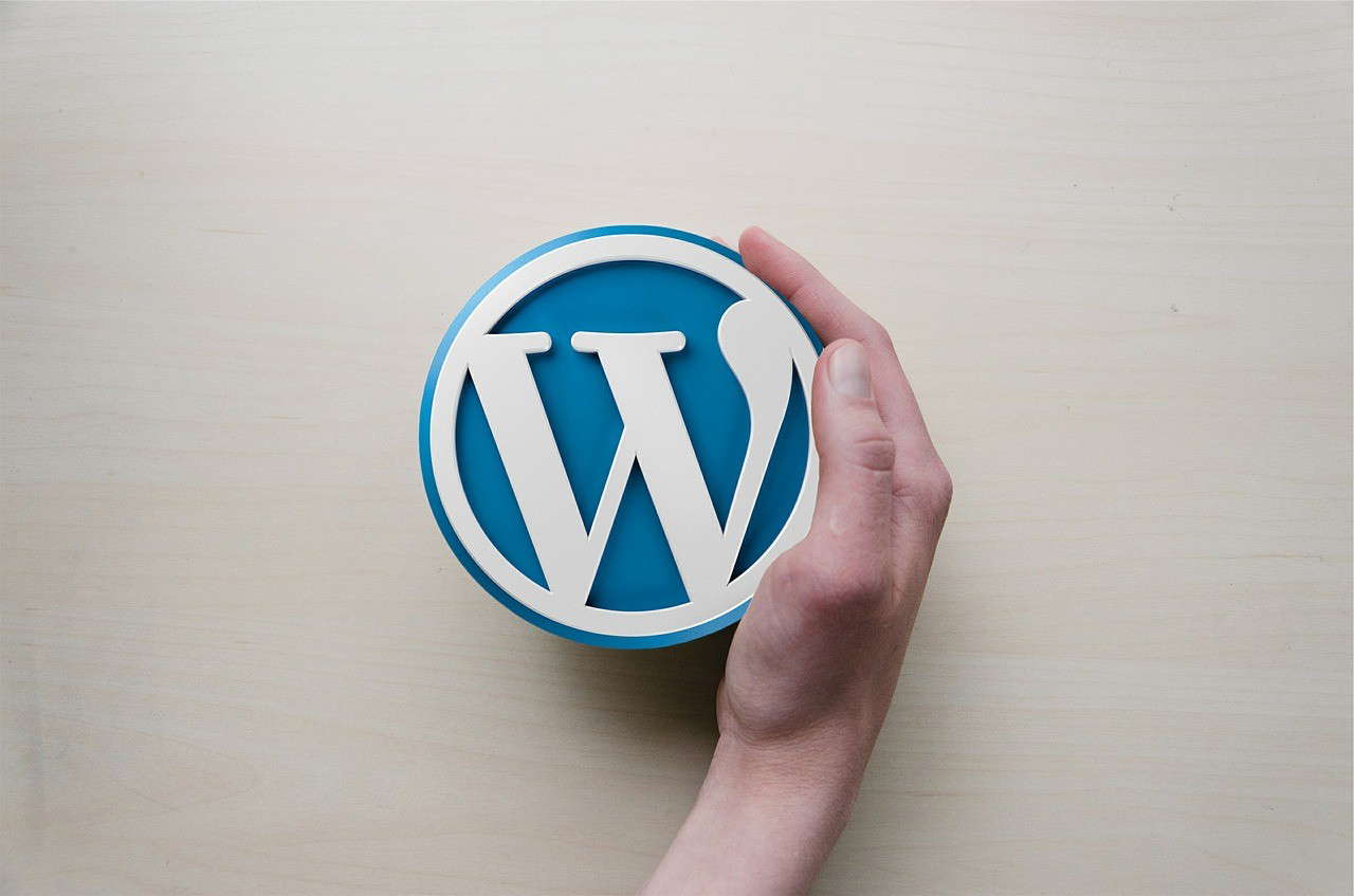 Wordpress Nedir? Ne İşe Yarar?