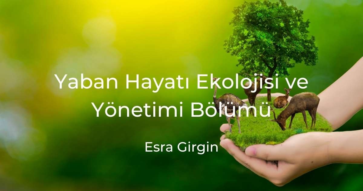 Yaban Hayatı Ekolojisi ve Yönetimi Bölümü