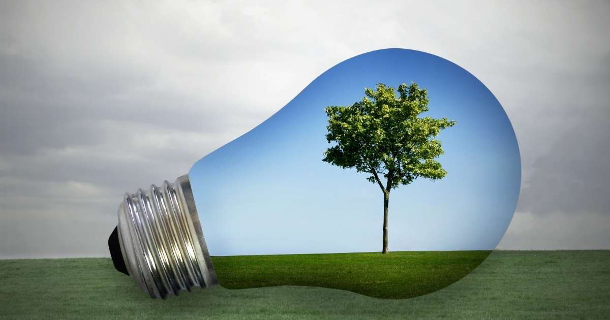 Yeşil Pazarlama ile Tanışın