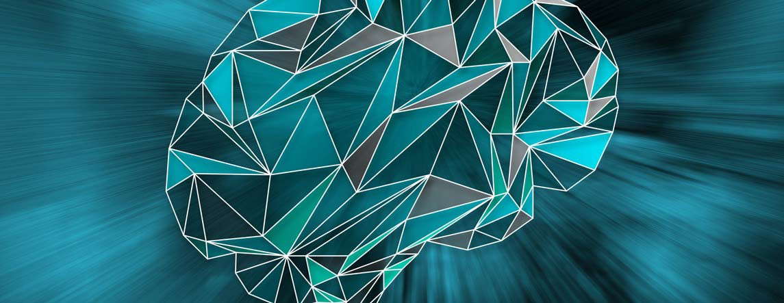 Zihin Bahçesi Nedir? İnsan Sistemi Nasıldır?