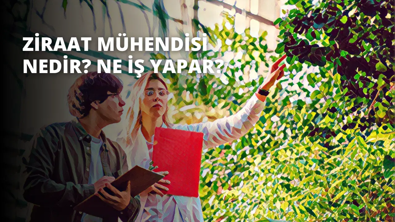 Ziraat Mühendisi Nedir? Ne İş Yapar?