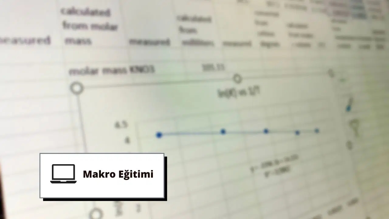 Makro Eğitimi