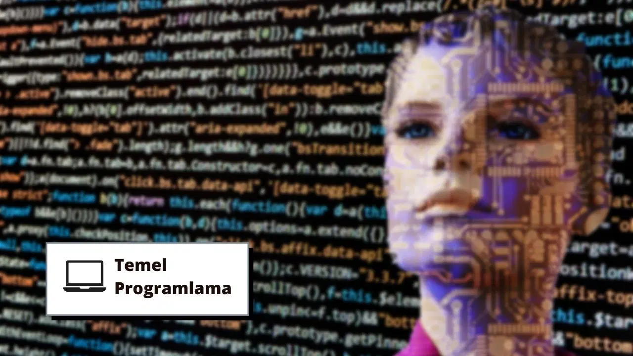 Temel Programlamaya Giriş